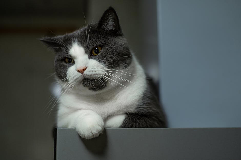 寵物與嬰兒：建立安全和諧的關係