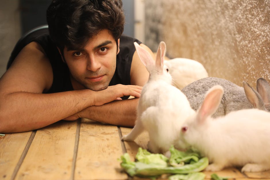 兔子廁所訓練完整指南