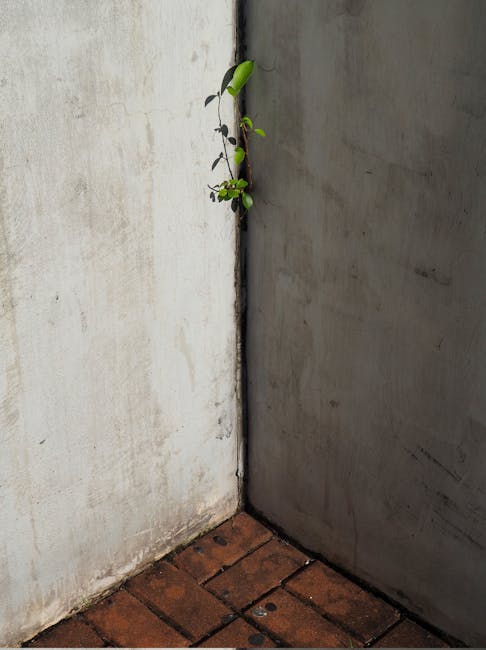 綠鬣蜥