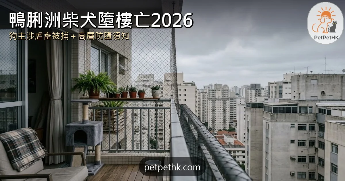 鴨脷洲柴犬墮樓亡2026｜22歲狗主涉虐畜被捕 法例與高層養狗防墮全解析