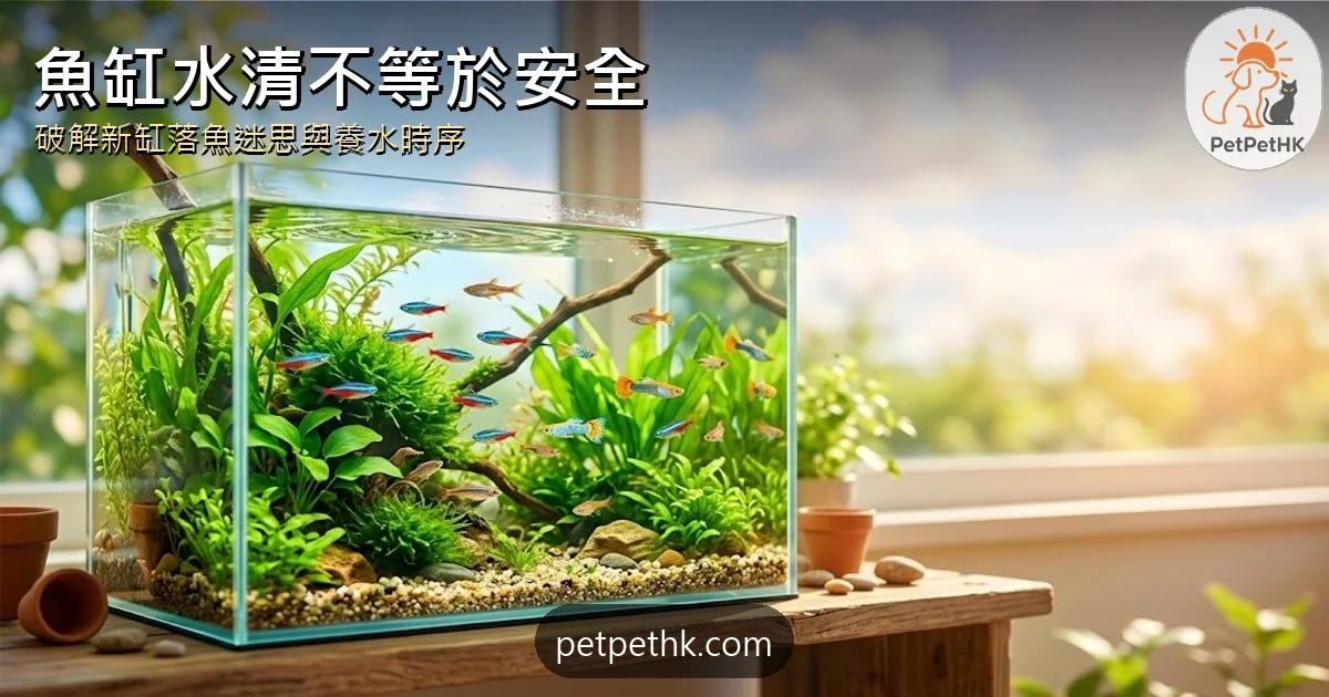 魚缸水清不等於安全？｜破解新缸落魚迷思、氮循環與5個養魚冷知識｜2026