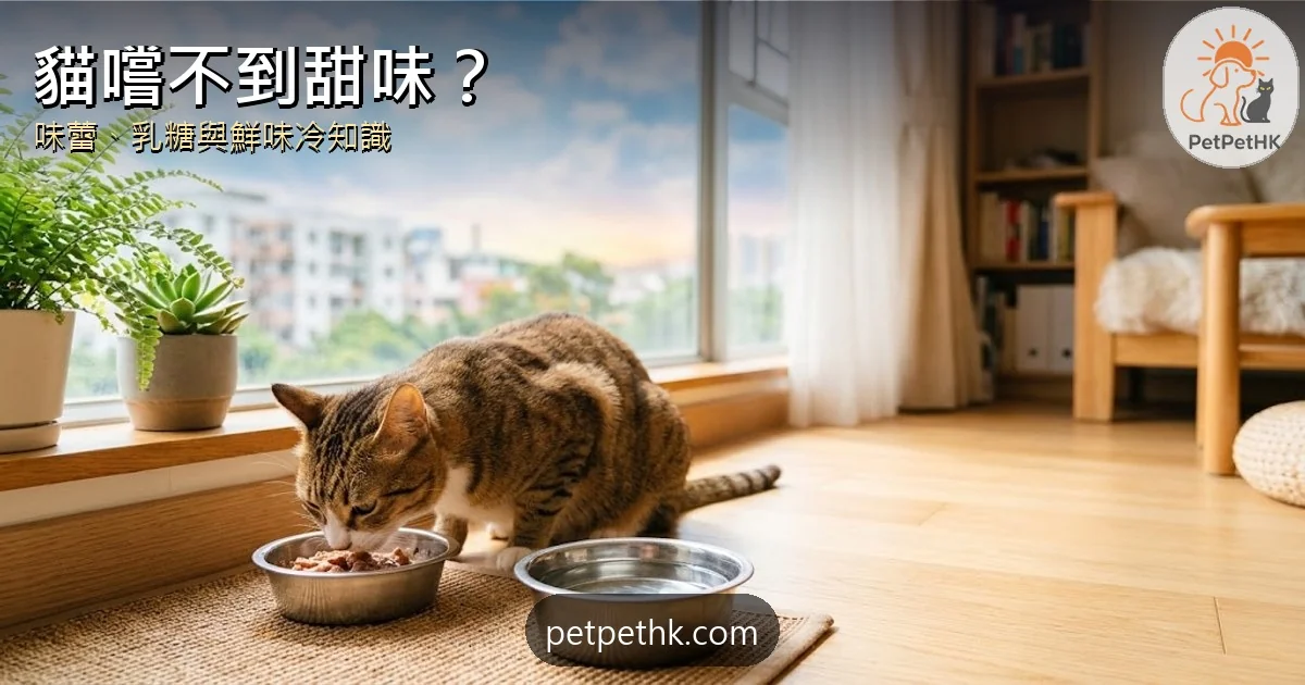 貓咪味覺之謎2026｜貓真的嚐不到甜味？牛奶爭議與5個貓舌冷知識