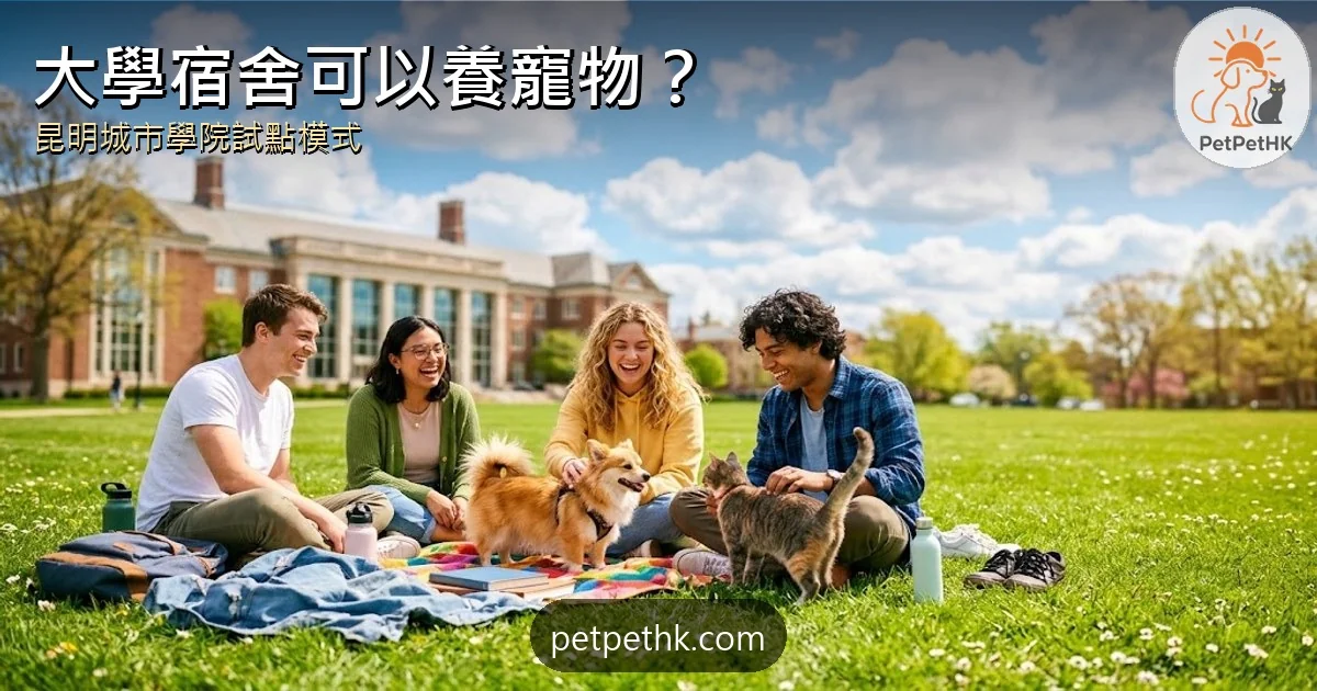 內地大學寵物宿舍2026｜昆明城市學院准帶貓狗 兩種試點模式與四個現實風險