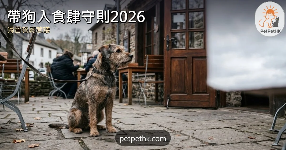 帶狗入食肆守則2026｜筲箕灣狗狗獨留餐廳20分鐘 狗主責任與安全風險全解析