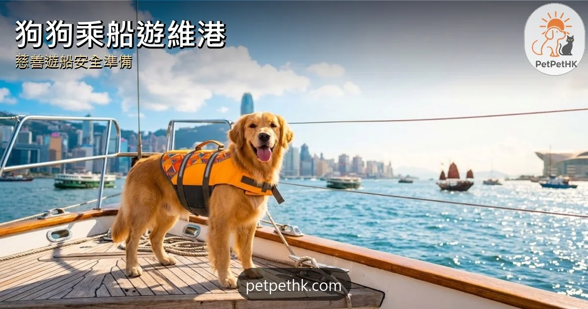 狗狗乘船遊維港｜慈善遊船活動安全準備與用品清單｜2026
