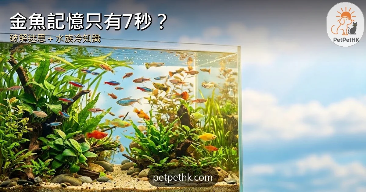 觀賞魚記憶只有7秒？｜破解金魚迷思、魚類痛覺爭議與5個水族冷知識｜2026