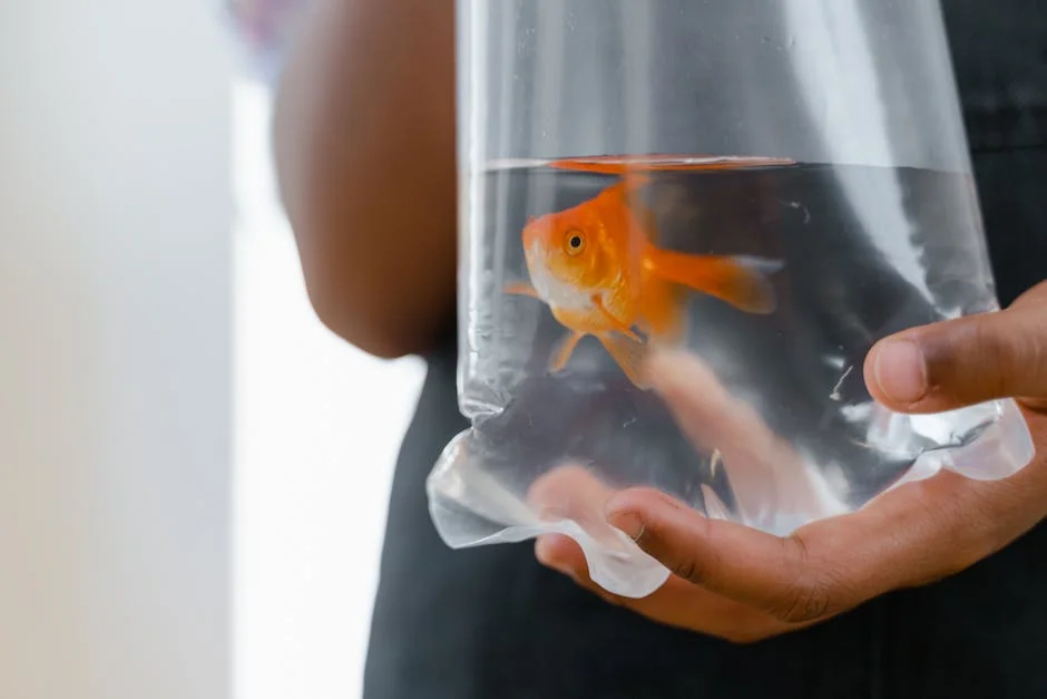 水族箱水質管理