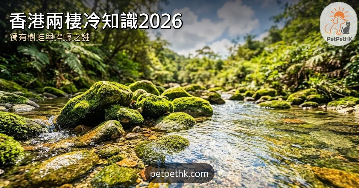 香港兩棲動物冷知識2026｜獨有盧氏小樹蛙、唯一蠑螈香港瘰螈與引水道之患