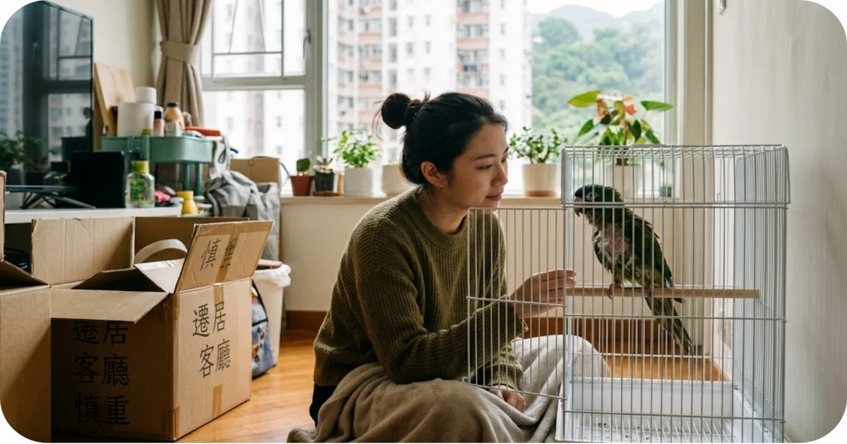 寵物鳥搬家適應指南｜換屋前後反應與安撫方法｜2026