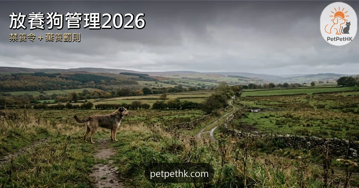 放養狗管理2026｜政府研禁養令、加重棄養罰則 倉狗與流浪狗責任全解析