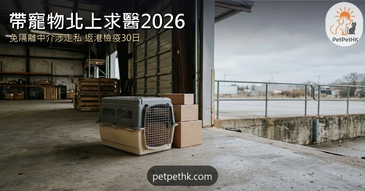帶寵物北上求醫2026｜免隔離中介涉走私寵物 返港檢疫30日與疫症風險全解析