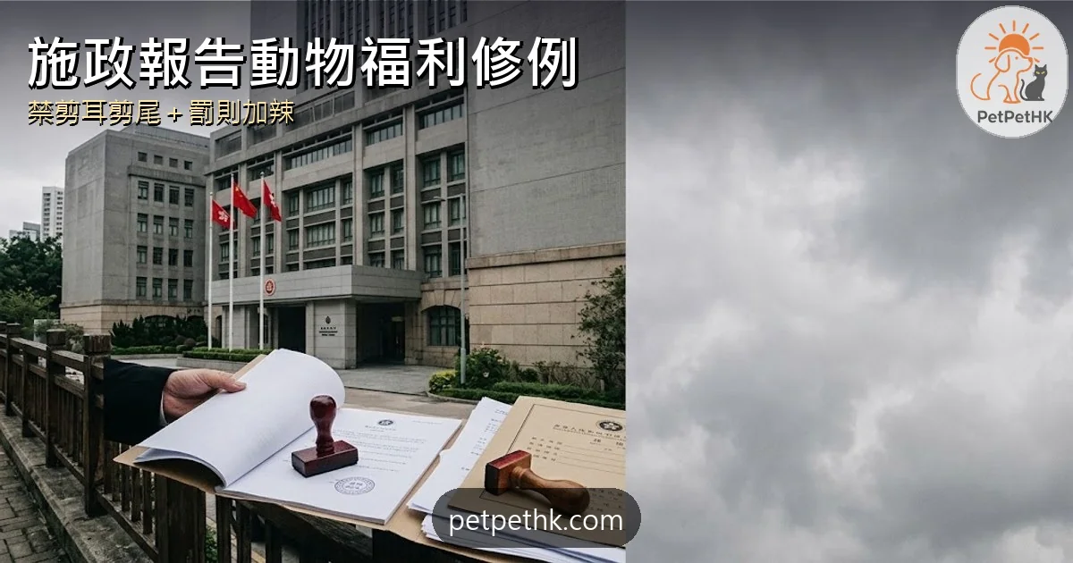 施政報告2026動物福利修例全解析｜禁剪耳剪尾、虐畜罰則加辣、狗帶規定檢視