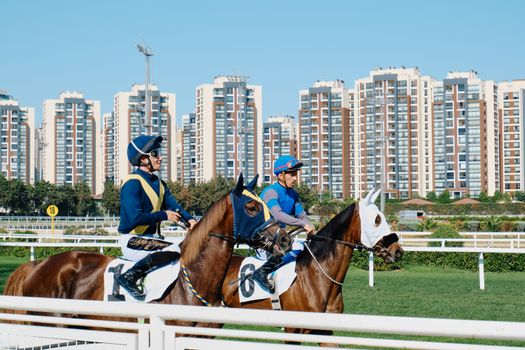 香港賽馬兩面睇｜賽馬文化、經濟貢獻同動物權益嘅爭議