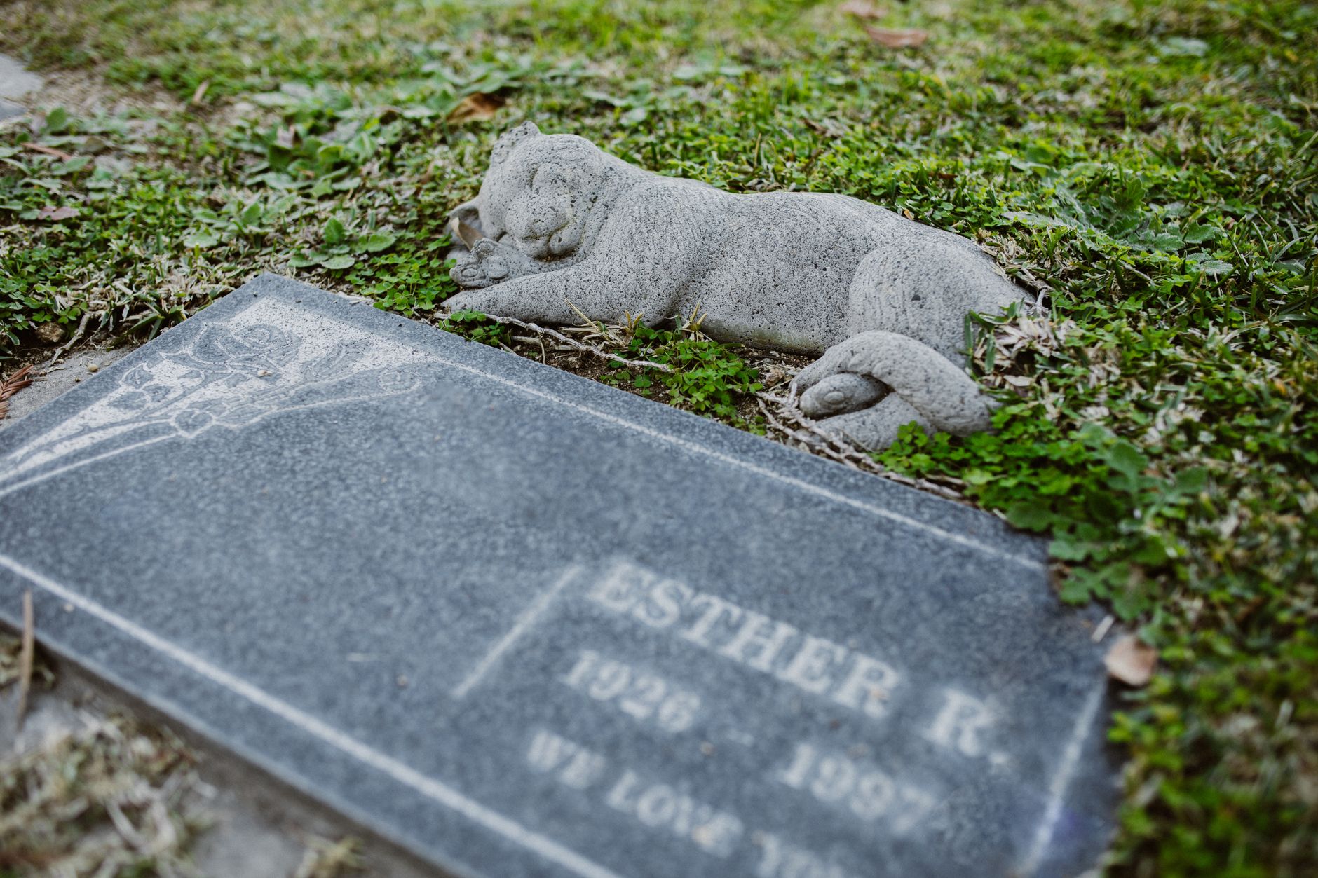 RIP 旺旺及三隻幼犬，願你哋喺彩虹橋上得到永遠嘅安息同快樂