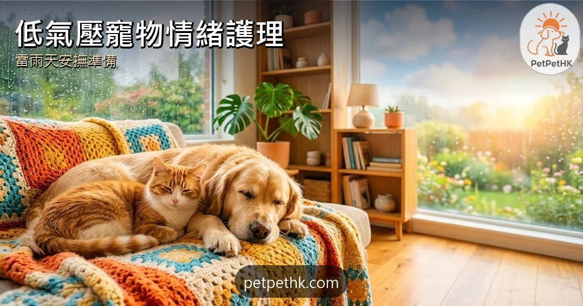 低氣壓寵物情緒護理｜雷雨天貓狗安撫與安全準備｜2026