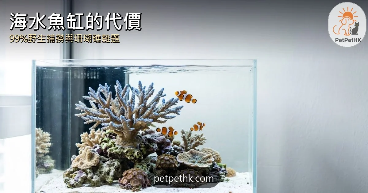 海水魚缸與珊瑚礁2026｜99%野生捕撈、氰化物爭議與4個冷知識