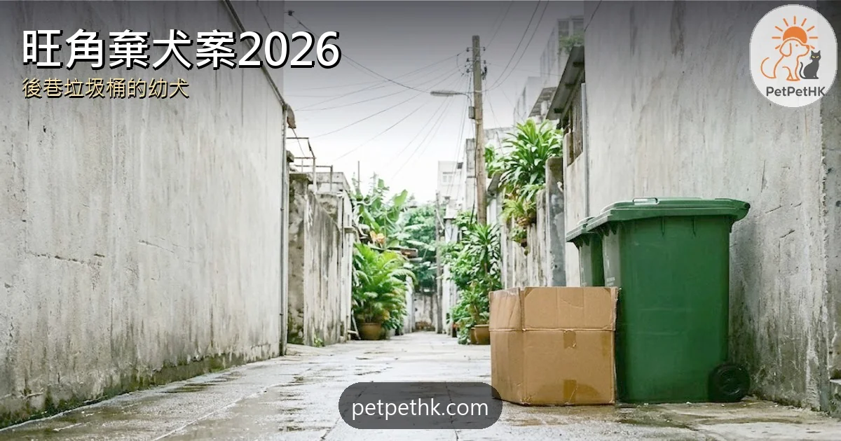 旺角棄犬案2026｜金毛幼犬遭棄垃圾桶 28歲女還押小欖、適合答辯全解析