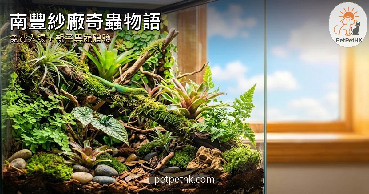 南豐紗廠奇蟲物語2026｜萬聖節怪奇動物展覽 免費入場＋珍稀異寵攻略｜2026