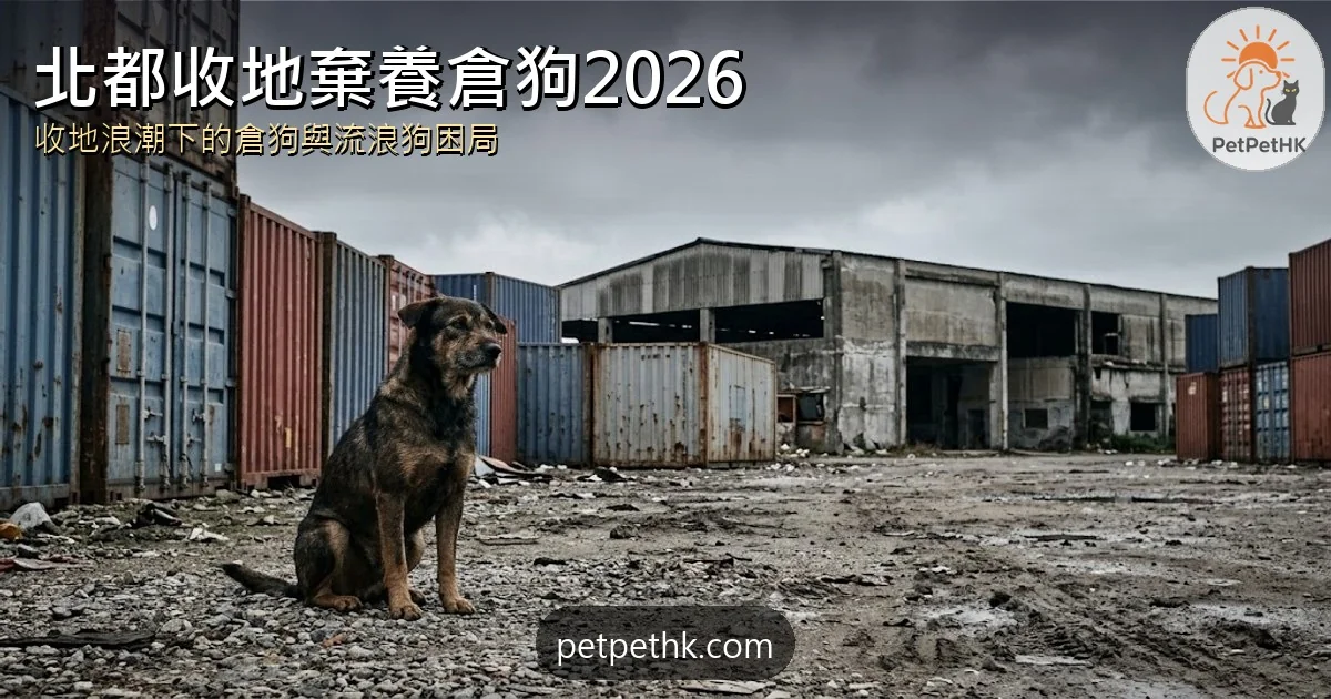 北都收地棄養倉狗2026｜新界東北發展遺下大量狗隻 流浪狗恐惡化與棄養責任全解析