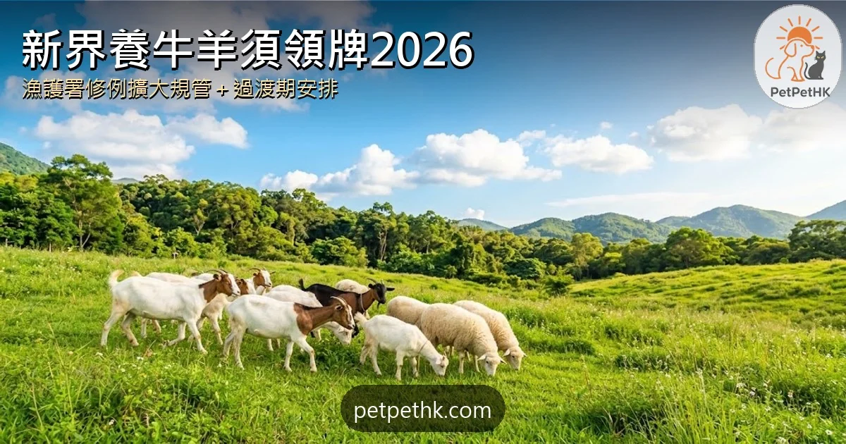 新界飼養牛羊須領牌2026｜漁護署修例規管全港 小規模養羊豁免與過渡期安排