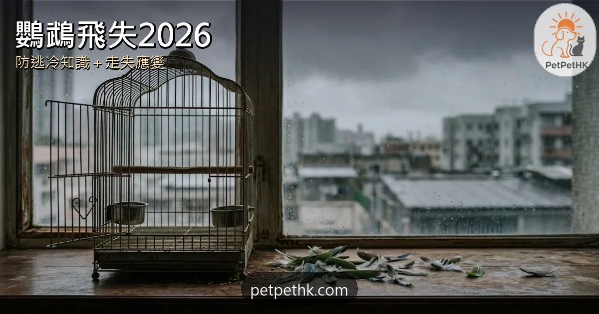 鸚鵡飛失2026｜鸚鵡會自己開籠門？防逃冷知識、走失應變與登記途徑全攻略