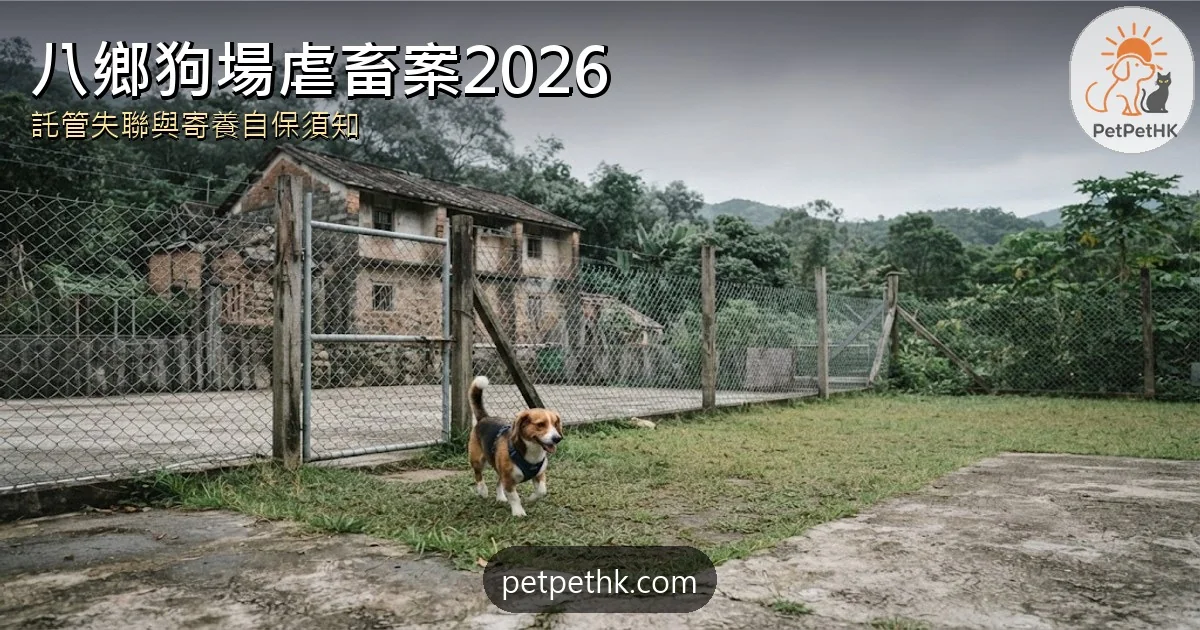 八鄉狗場虐畜案2026｜託管貓狗失聯被發現96隻 前負責人提堂與寵物寄養自保全解析