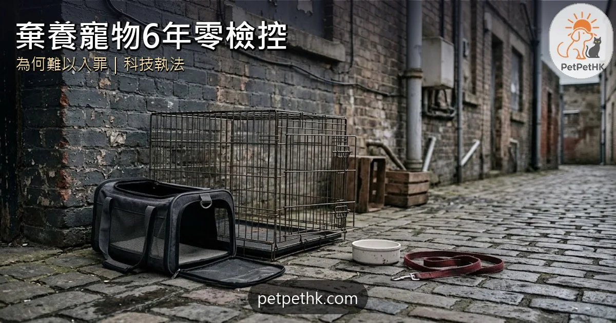 棄養寵物6年零檢控｜為何難以入罪、議員促科技執法與加重罰則｜2026