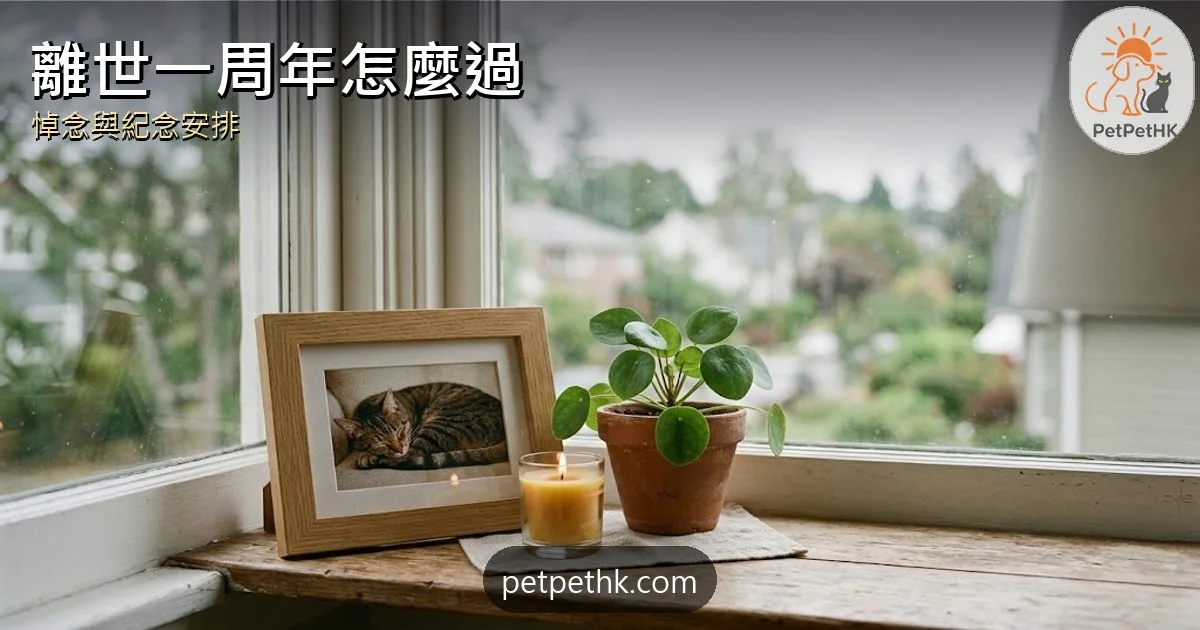 寵物離世一周年怎麼過？2026 悼念與紀念安排指南