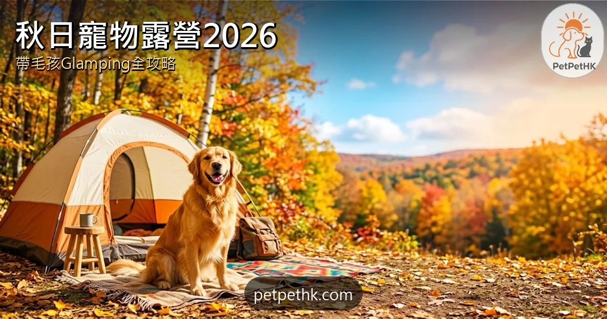 寵物露營推介2026｜秋日帶毛孩Glamping香港營地、收費與安全須知