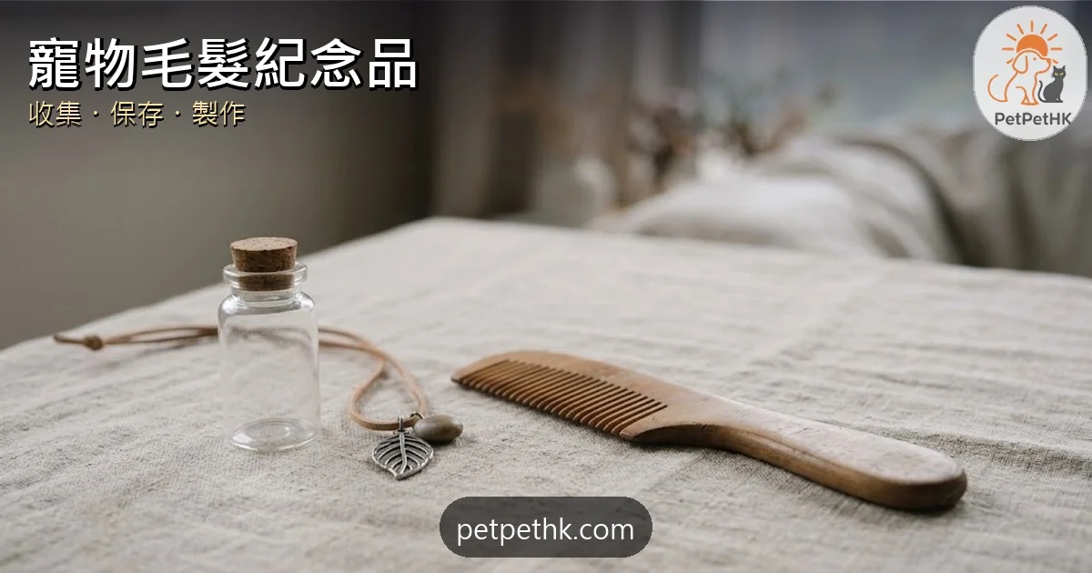 寵物毛髮紀念品指南2026｜毛髮吊飾、玻璃瓶與保存方法