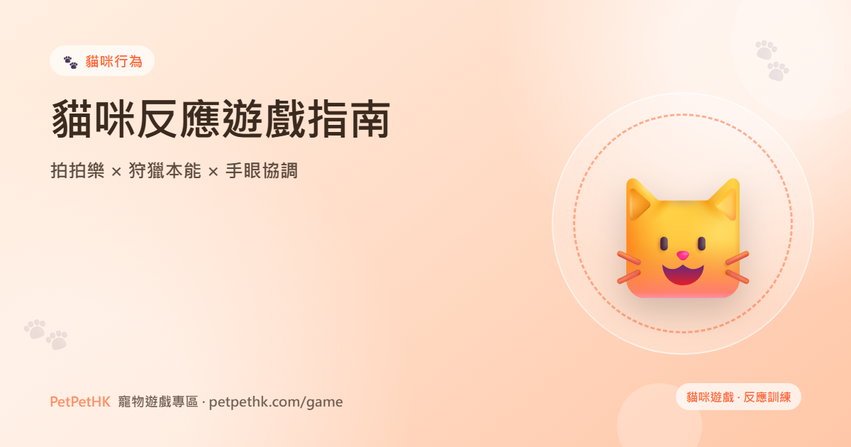 貓咪反應遊戲指南：用拍拍樂啟動狩獵本能與手眼協調