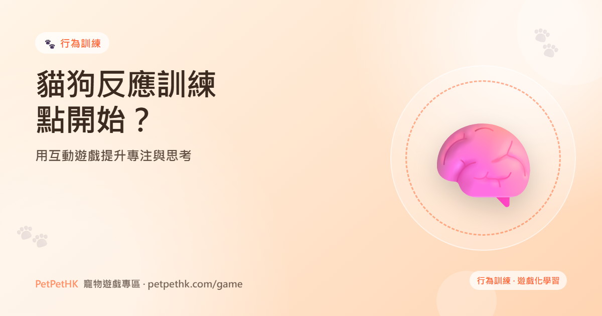 貓狗反應訓練點開始？用互動遊戲提升專注與思考