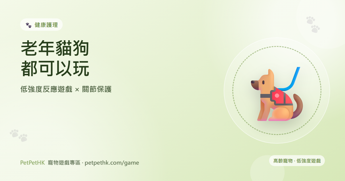 老年貓狗都可以玩：低強度反應遊戲與關節保護