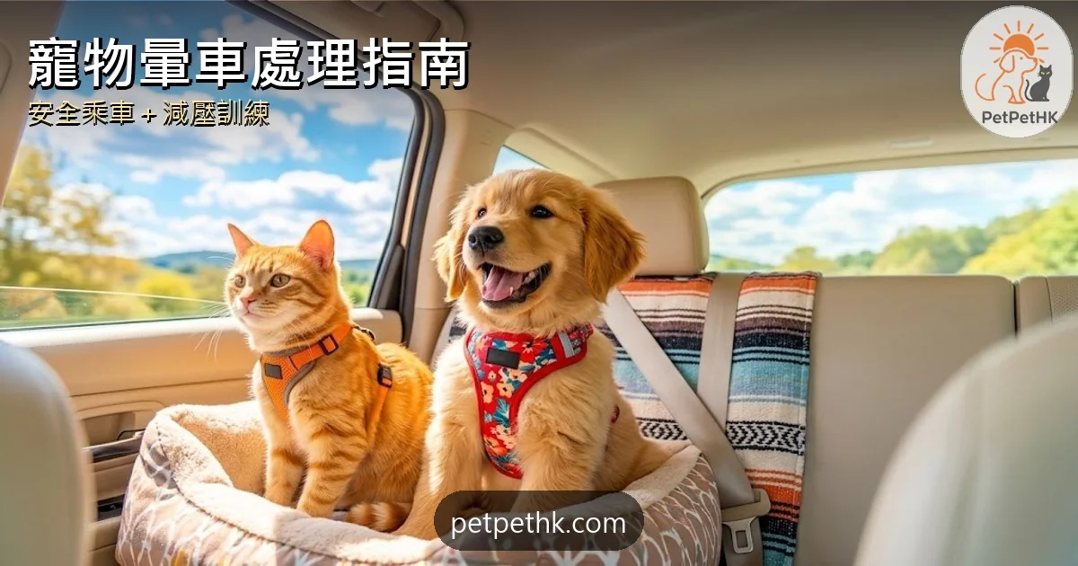 寵物暈車處理指南｜貓狗安全乘車與減壓訓練｜2026