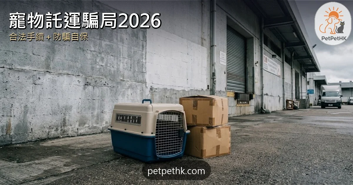 寵物託運騙局2026｜跨境托運騙案揭黑幕 合法手續、收費與防騙自保全攻略