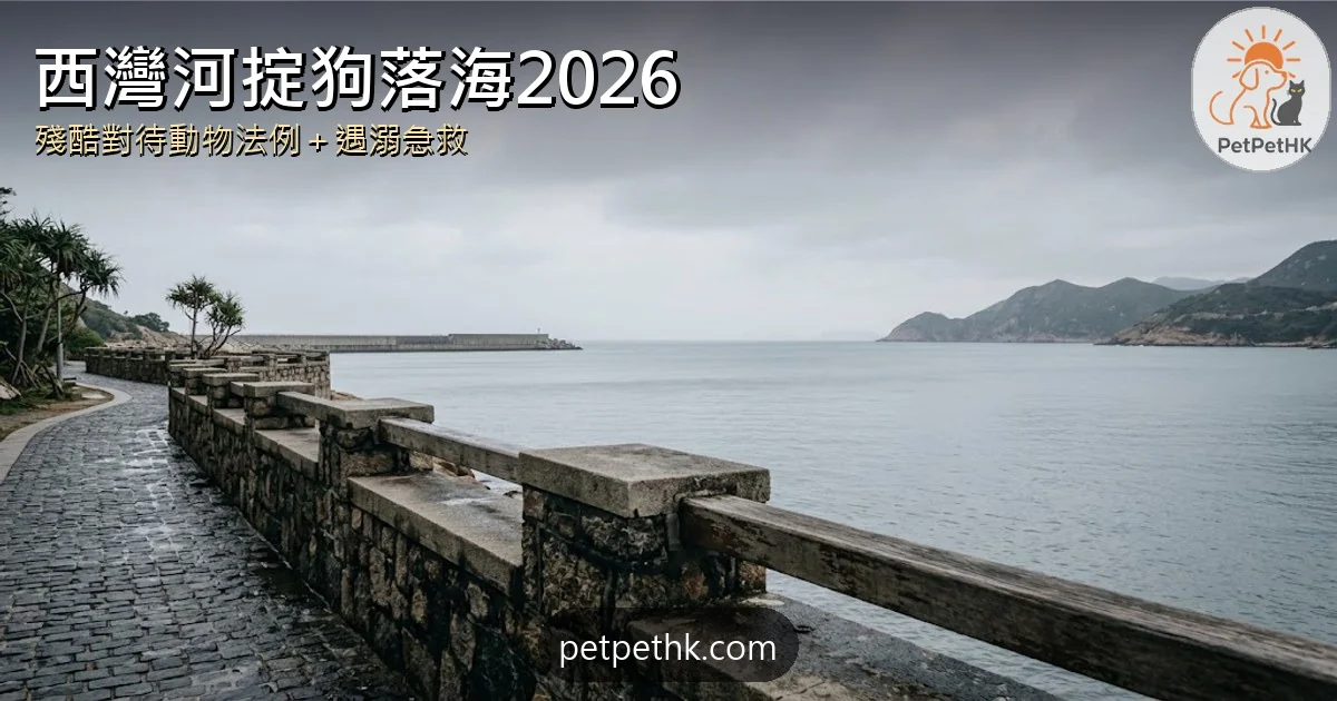 西灣河掟狗落海2026｜女子涉殘酷對待動物被追緝 遇溺急救、舉報與法例全解析