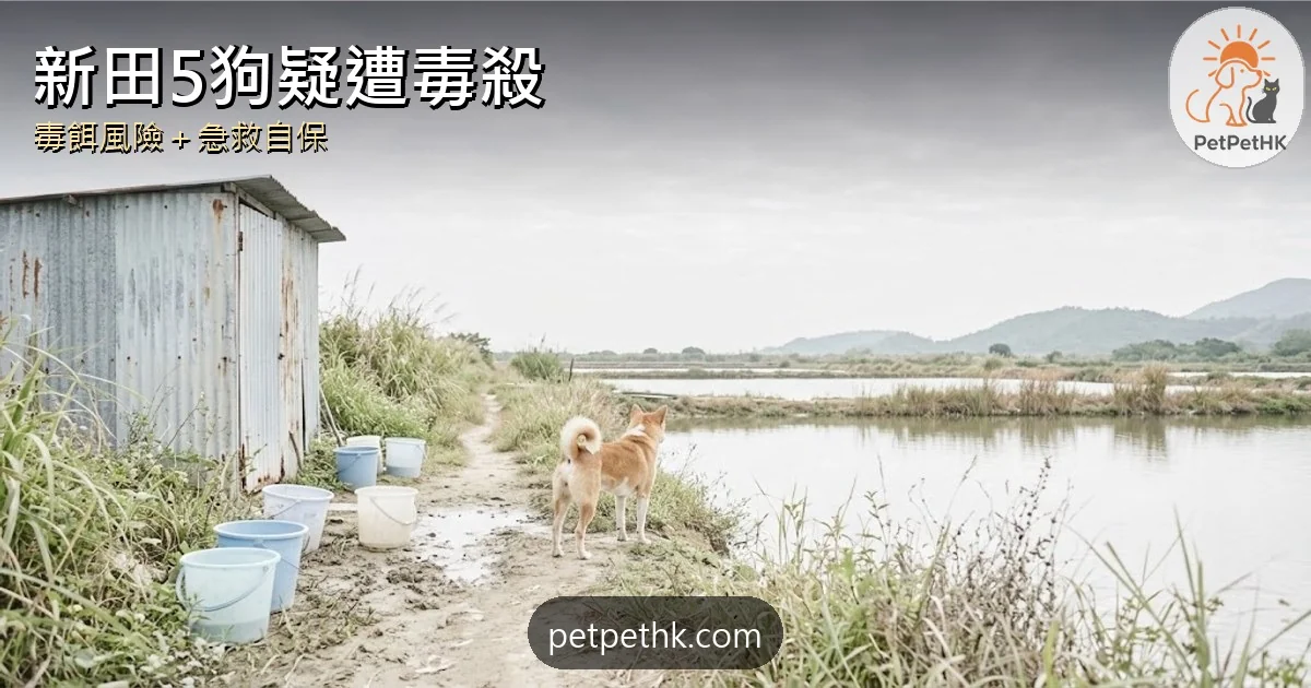 新田5狗疑遭毒殺2026｜魚塘旁集體倒斃 毒餌危機、中毒急救與舉報全攻略