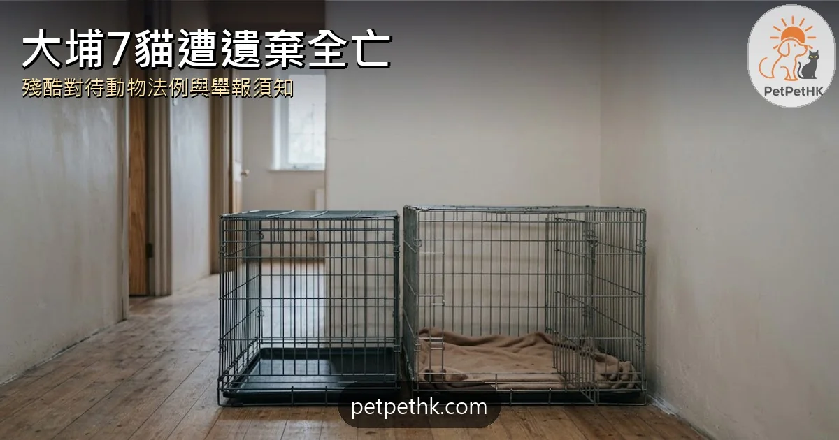 大埔7貓遭遺棄全亡2026｜殘酷對待動物法例、舉報方法與棄養責任全解析