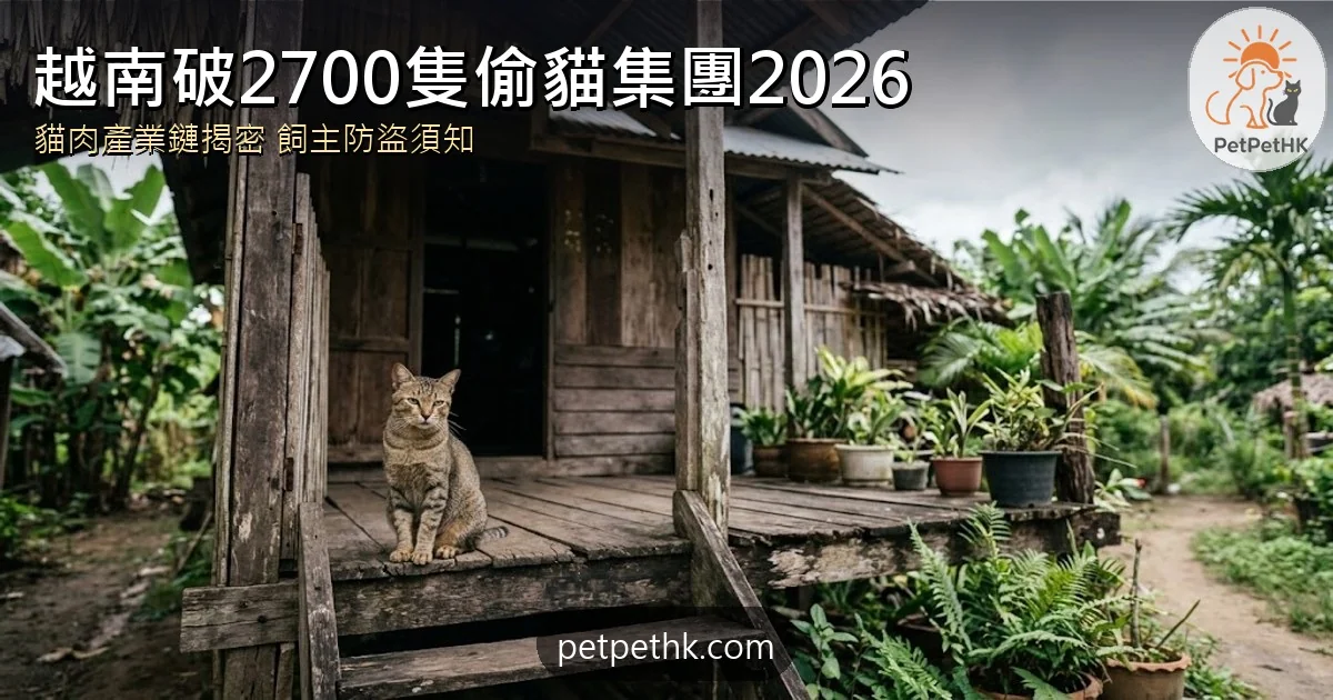 越南胡志明市偷貓集團2026｜破2700隻貓肉產業鏈 12人被捕、動保爭議全解析