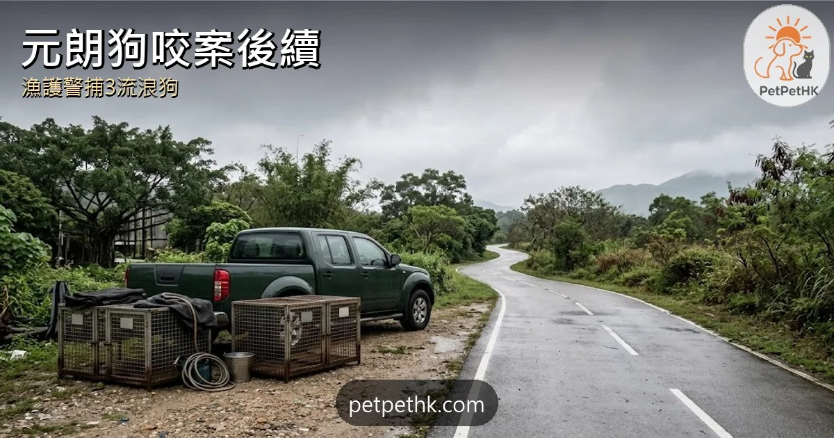 元朗單車女疑遭狗咬死後續｜漁護警捕3流浪唐狗　官員教遇狗自保