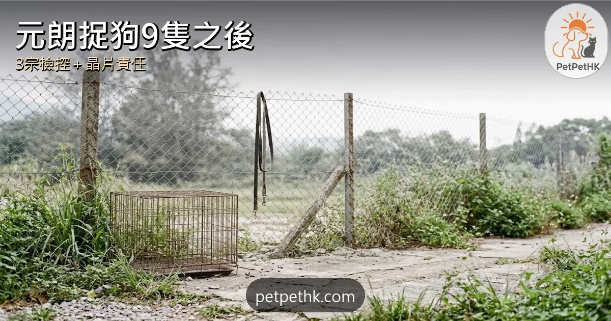元朗捉狗行動2026｜9狗被捕3狗主被檢控 拉里太陽仔仍在生、晶片責任全解析