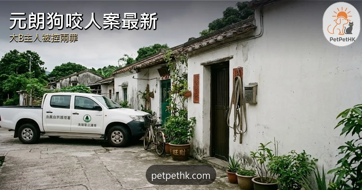 元朗狗咬死人最新｜13歲唐狗大B主人毛守Kent被控兩罪　揭義工代登記內情