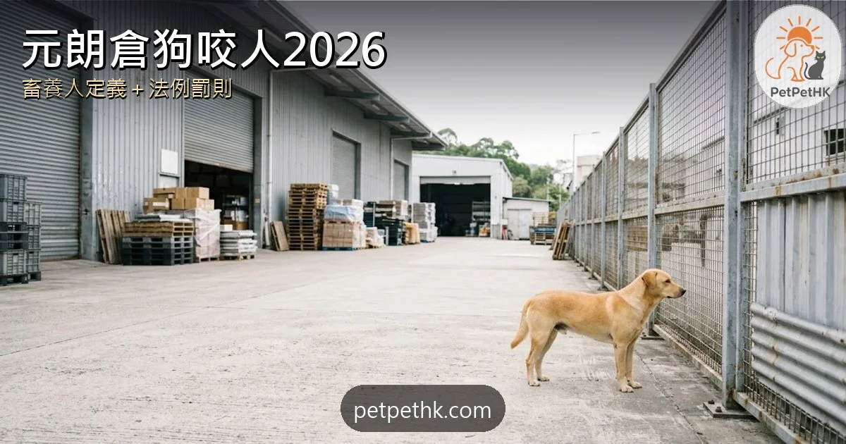 元朗倉狗咬人2026｜26歲倉務員被3隻倉狗追咬 畜養人定義、罰則與工傷自保