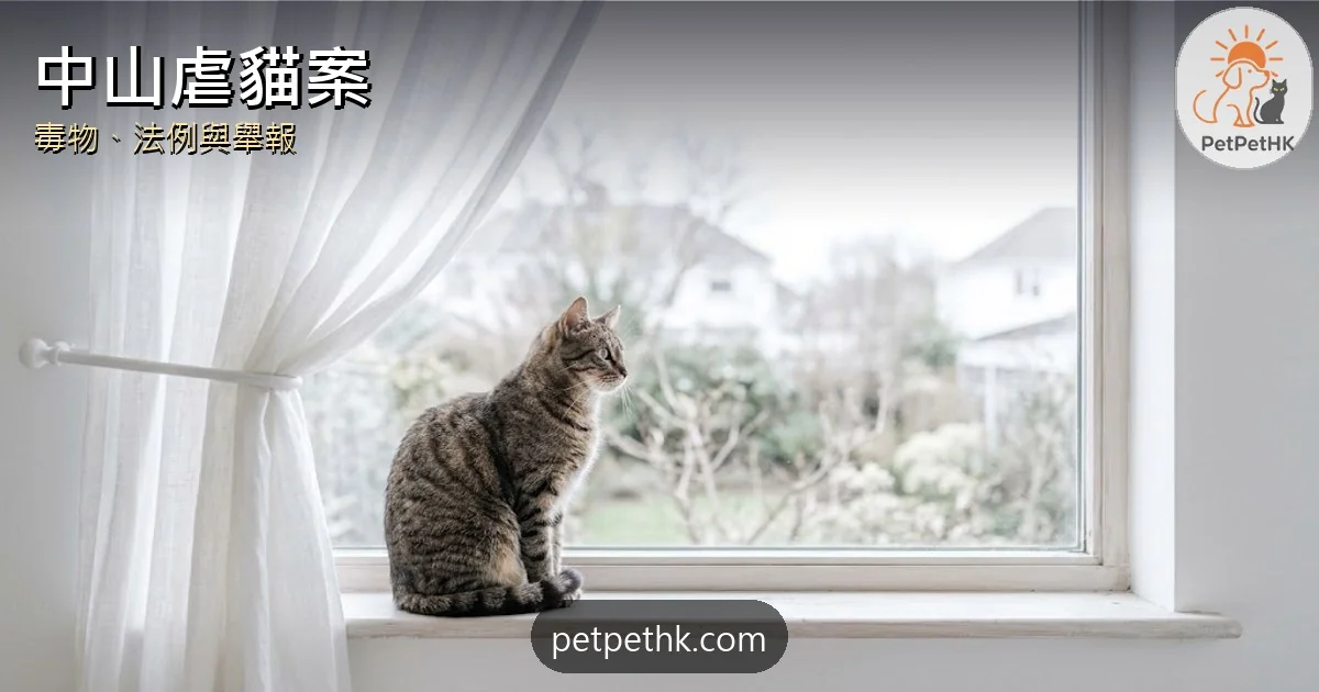 中山虐貓案2026｜醫院職員涉用毒劑刑具虐貓　內地無動物保護法與港刑罰對比